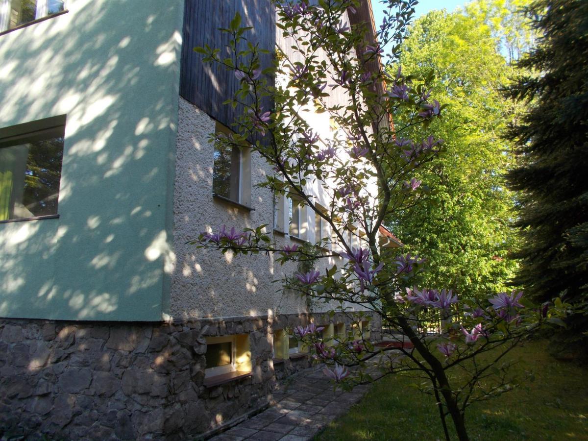 Villa Veronika Ladek-Zdroj Exterior photo